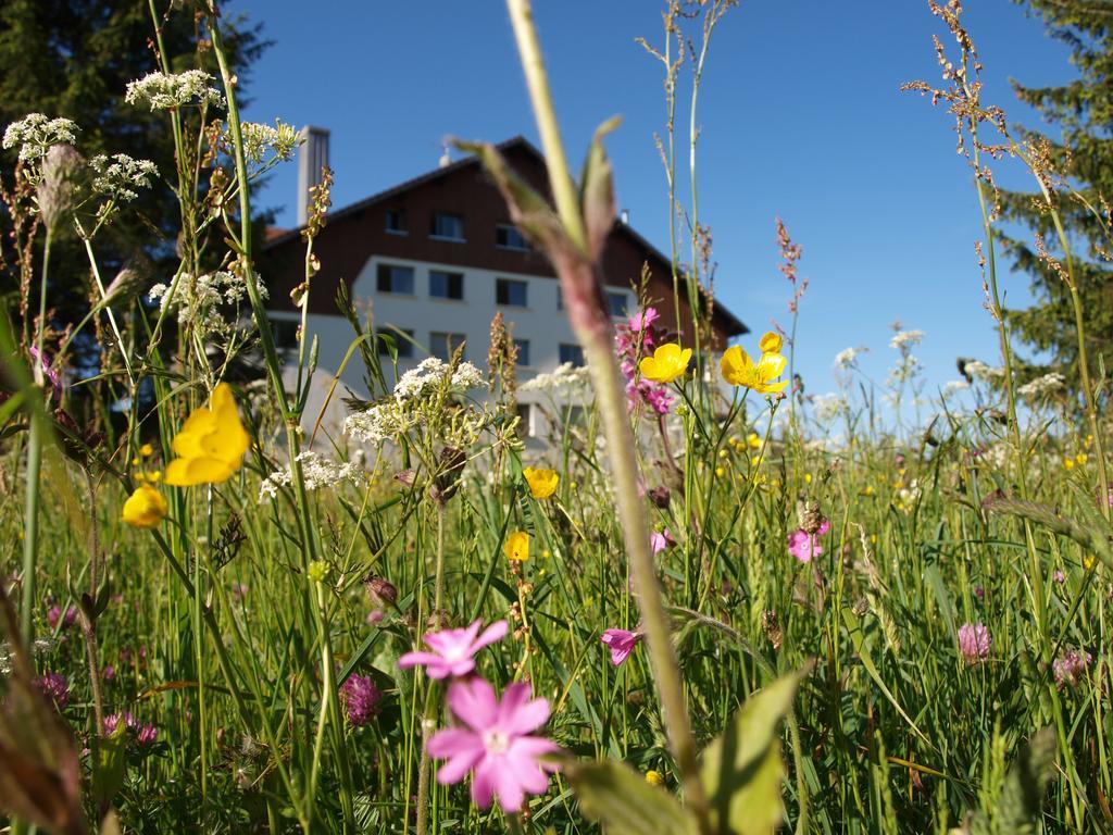 La Roche Du Tresor Village Vacances Longevilles-Mont-dʼOr Eksteriør bilde